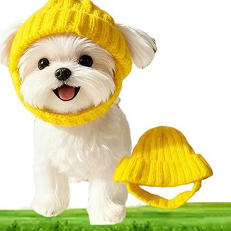 1 Stuks Maltese Hond Muts Zach - Winter Trapper Hat recensie en prijs